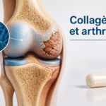 collagène et arthrose